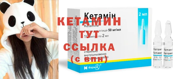 стаф Кодинск