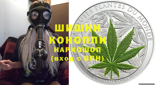стаф Кодинск