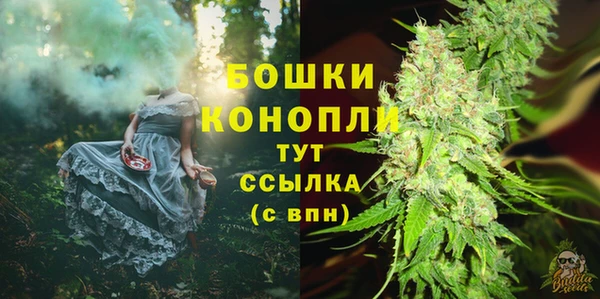 стафф Козловка