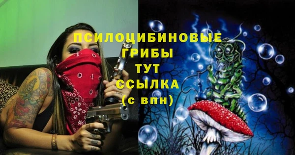 стаф Кодинск