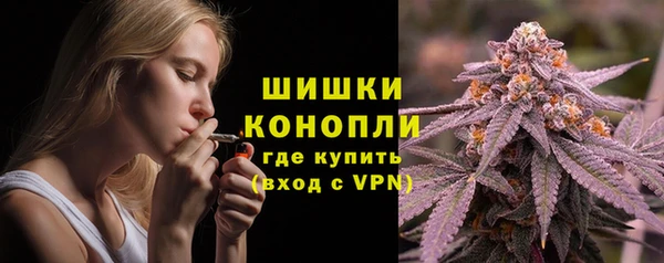 стафф Козловка
