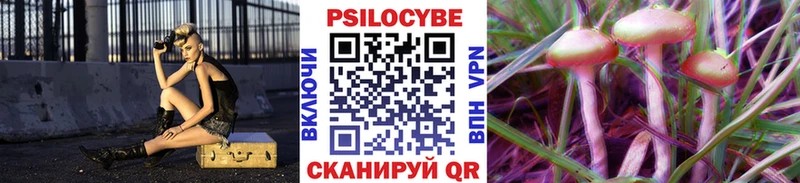 Купить где  Асино  Галлюциногенные грибы мицелий 